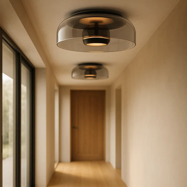 Modern LED Ceiling Lamp