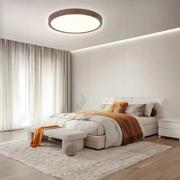 Ultra Thin Ceiling Lamp with LED Technology