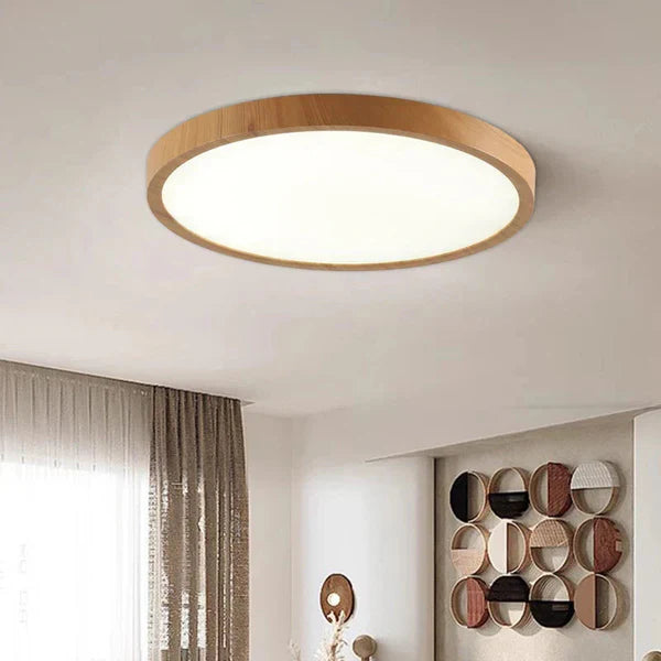 Ultra Thin Ceiling Lamp with LED Technology