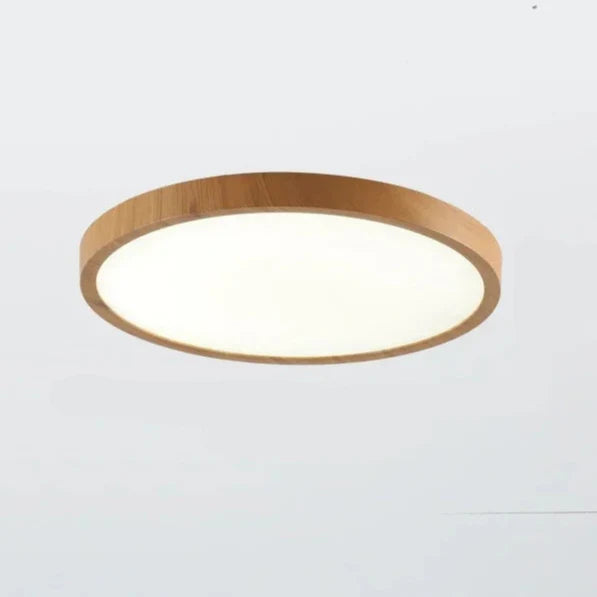 Ultra Thin Ceiling Lamp with LED Technology